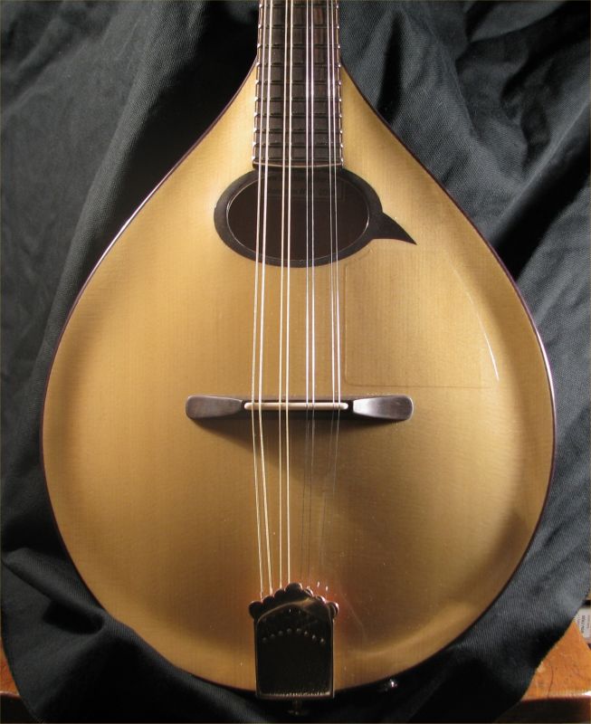 laughlin mandolin